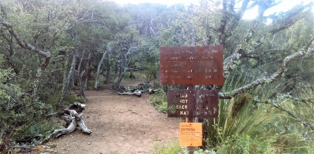 pinnacle-trail--1080x530 Big Bend Nat'l Park