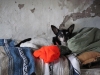 todd-in-bed-at-ranch-2012