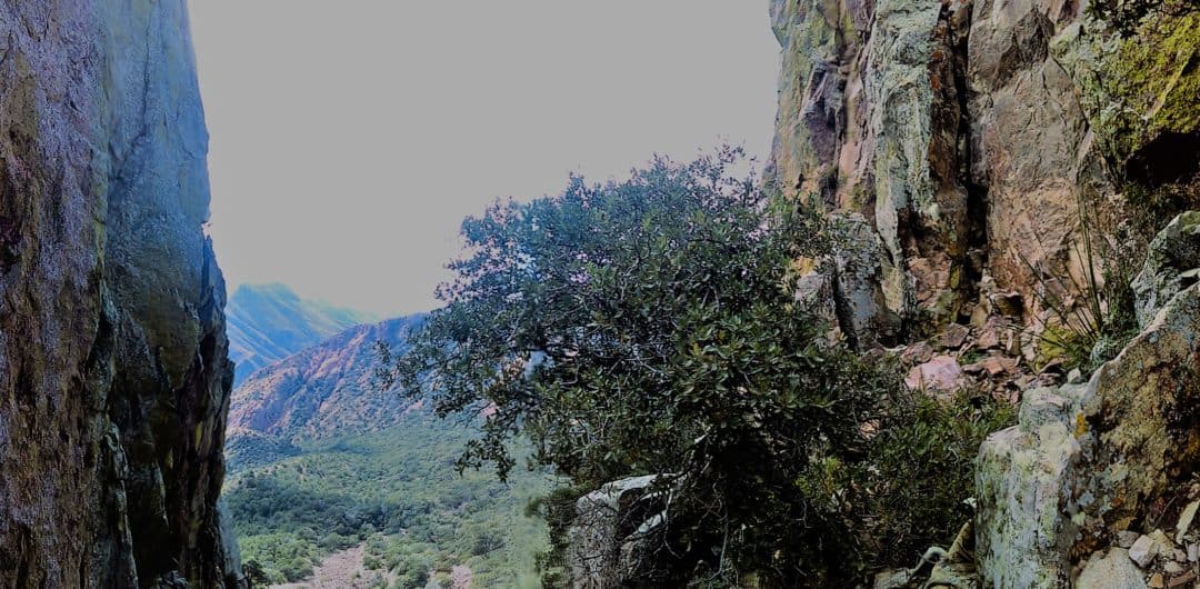 big-bend-on-the-trail-1080x530 Big Bend National Park - A personal adventure