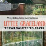 Little-Graceland-Weird-Roadside-Attraction-1-150x150 Boca Chica Texas - From the Civil War to SpaceX