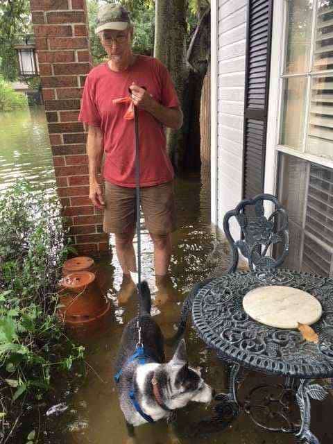 dog-looking-for-place-to-pee-e1504140306225 Surviving Hurricane Harvey flooding - 8 practical ways to cope