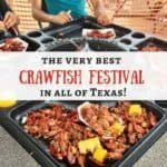 Very-best-Crawfish-Festival-in-Texas-150x150 Galveston Mardi Gras