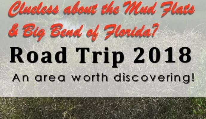 Mud-Flats-Big-Bend-of-Florida-1-690x400 10 eye-opening discoveries in Mud Flats and Big Bend of Florida - Road Trip 2018
