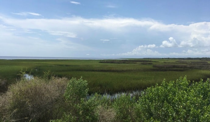 Mud-flats-of-Florida-Road-Trip-2018-1 10 eye-opening discoveries in Mud Flats and Big Bend of Florida - Road Trip 2018